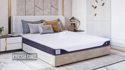 Đệm Hanvico Foam FRESH COOL