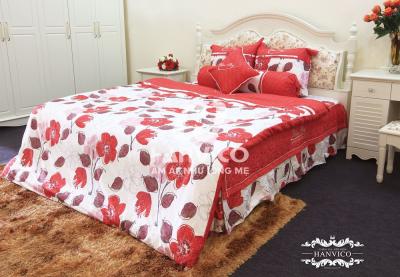 Bộ Hanvico Blue Sky CTM DL91
