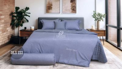 Bộ Hanvico Blue Sky Cotton T – DLS222