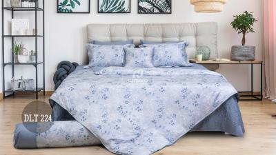Bộ Hanvico Blue Sky Tencel – DLT224