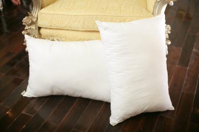 Bộ 2 ruột gối ép Hanvico TCM 45*65