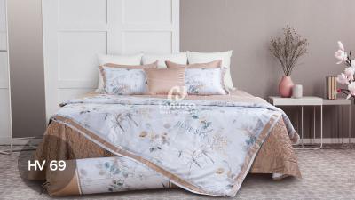 Bộ ga phủ Hanvico Blue Sky HV69
