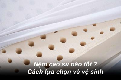 Nệm cao su nào tốt ? Cách lựa chọn và vệ sinh nệm cao su