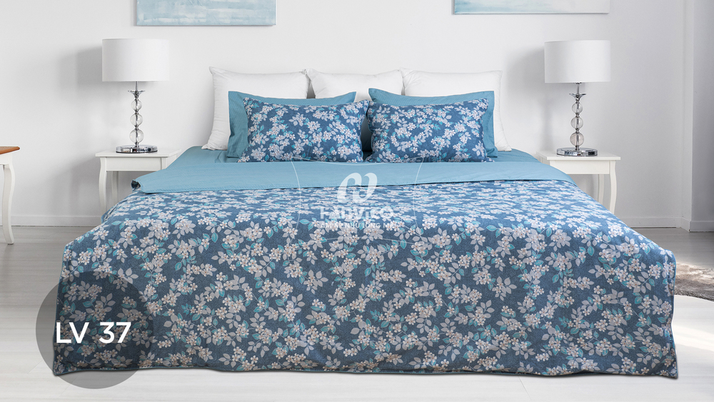 Bộ ga chun Hanvico Living – LV37