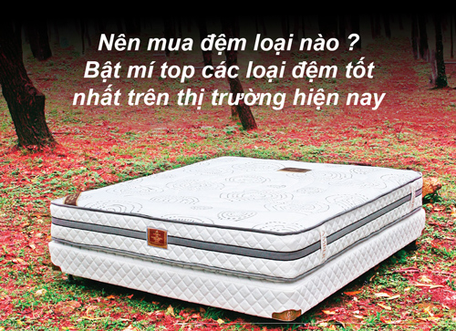 Nên mua đệm loại nào? Bật mí top các loại đệm tốt nhất trên thị trường hiện nay