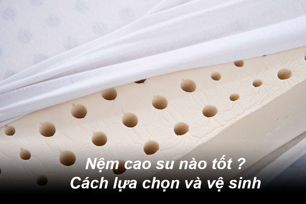 Nệm cao su nào tốt ? Cách lựa chọn và vệ sinh nệm cao su